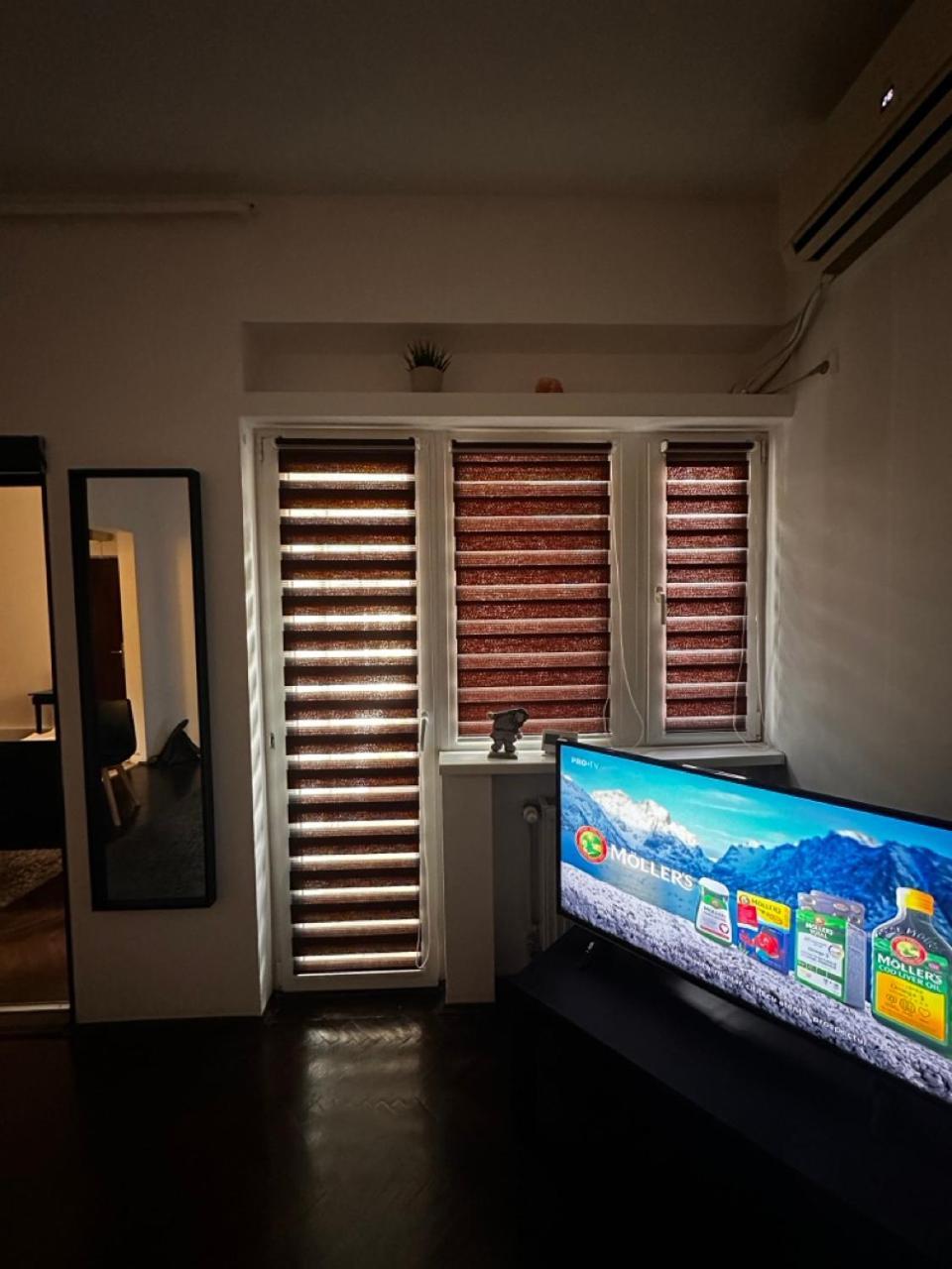 Conta Apartment 布加勒斯特 外观 照片